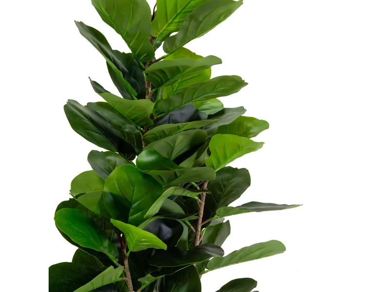 Pianta ficus artificiale 150cm