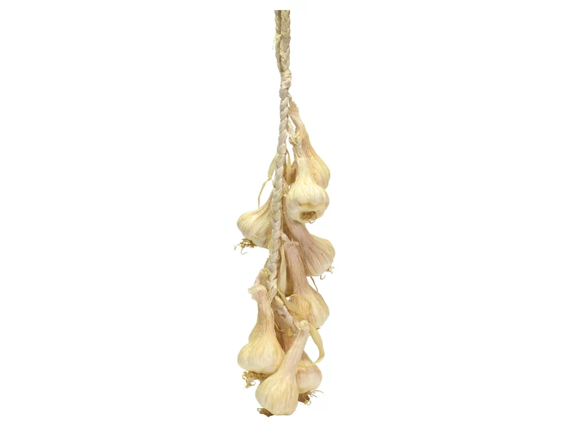 Treccia 10 aglio artificiale 15x50x6,5cm