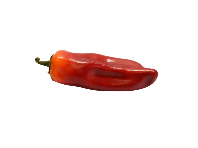 Peperoncino artificiale14x4cm rosso