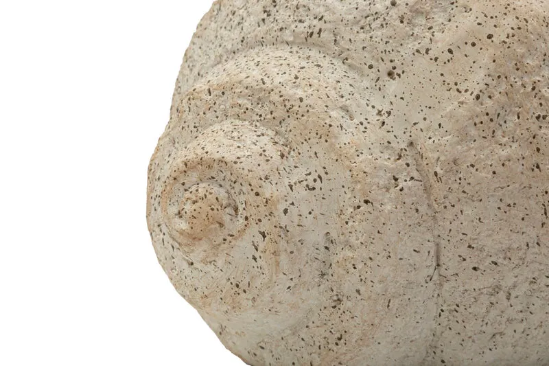 Vaso Shell Sand 35x23x18 cm in Mgo Beige