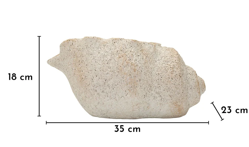 Vaso Shell Sand 35x23x18 cm in Mgo Beige