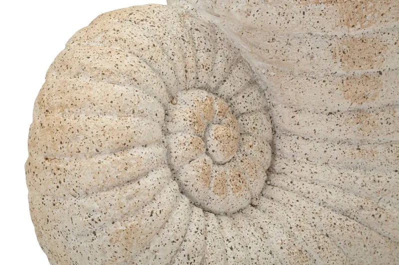 Vaso Shell Sand 33x19x23 cm in Mgo Beige