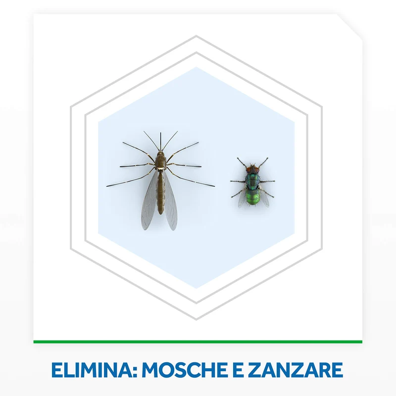 Raid Mosche e Zanzare Spray Insetticida, Antizanzare e Antimosche, Azione Rapida, Confezione da 12 pezzi (12 x 400ml)
