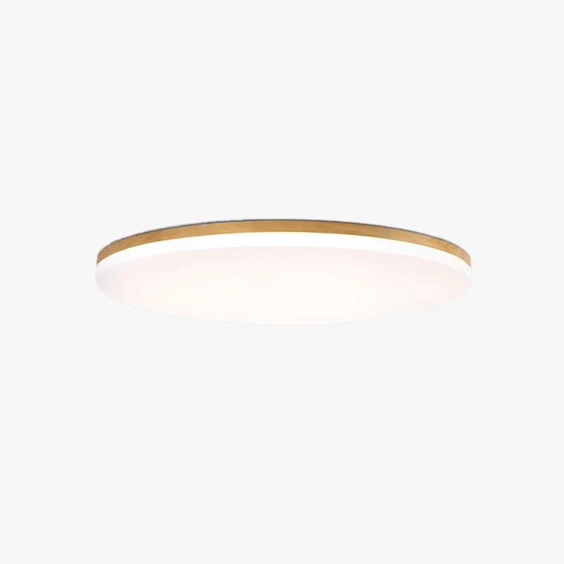 Modernist versatile LED ceiling lamp for interiors