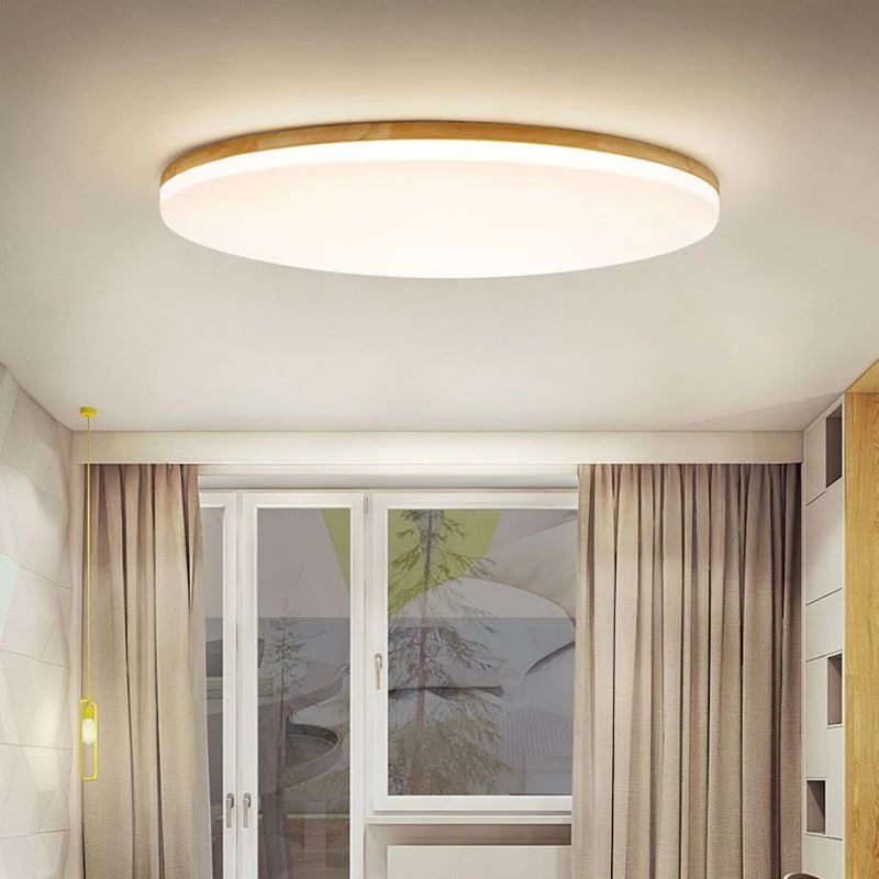 Modernist versatile LED ceiling lamp for interiors