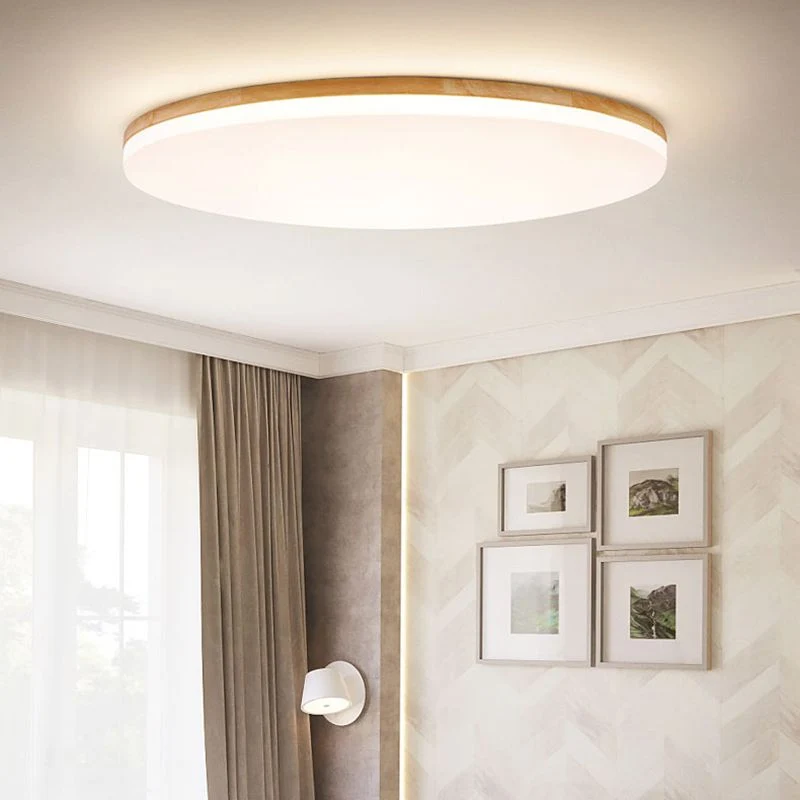 Modernist versatile LED ceiling lamp for interiors