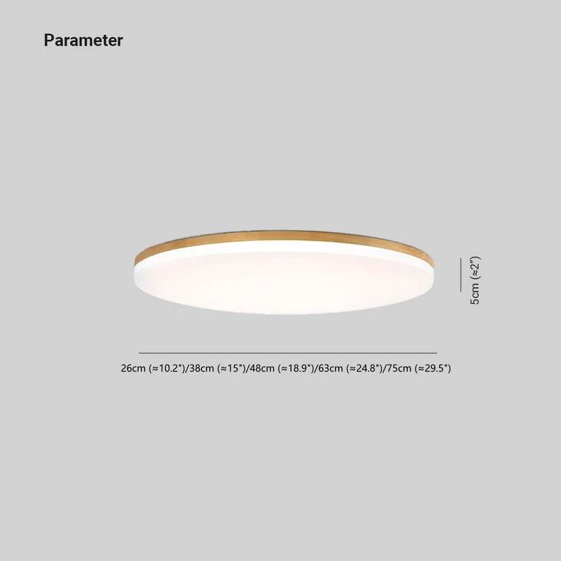 Modernist versatile LED ceiling lamp for interiors