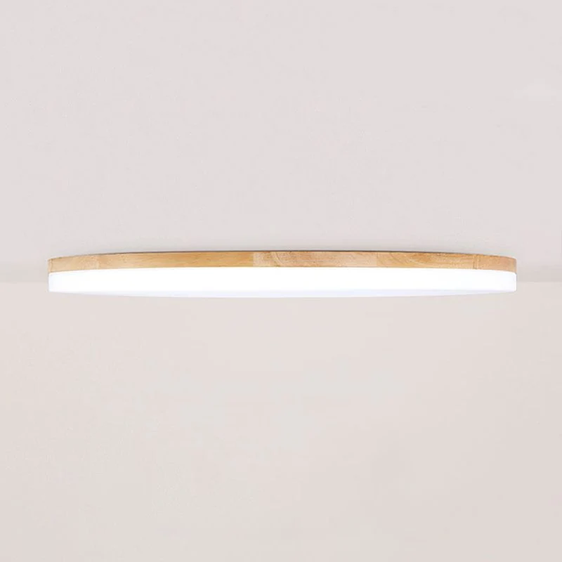 Modernist versatile LED ceiling lamp for interiors