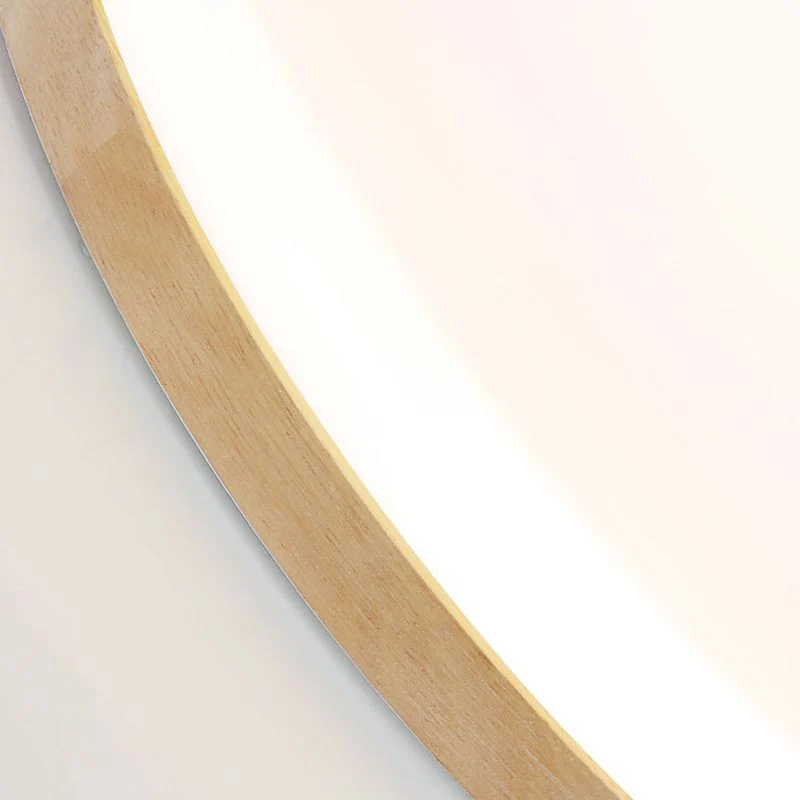 Modernist versatile LED ceiling lamp for interiors