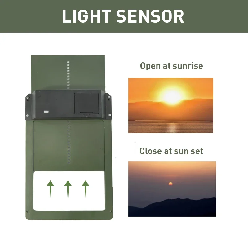 Farmora Automatische Kippenhokdeur – Weerbestendige Deur met Sensor & Timer
